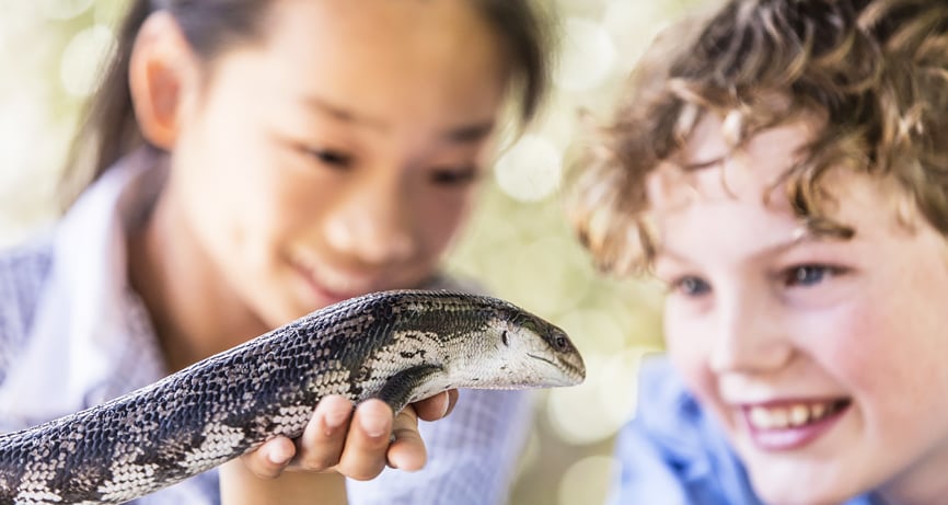 Grimwade House girl and boy with lizard