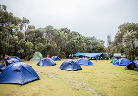 yr7camp-gallery-apr19-7